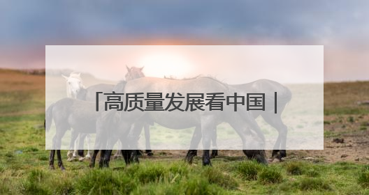 高质量发展看中国｜绿色通道达境外 输送三江“一口鲜”