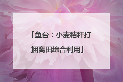 鱼台：小麦秸秆打捆离田综合利用