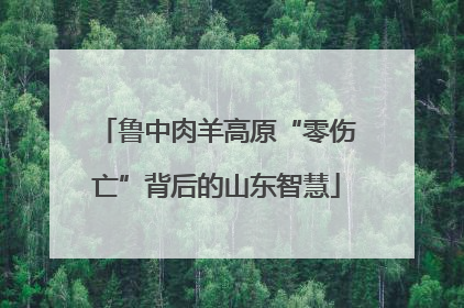 鲁中肉羊高原“零伤亡”背后的山东智慧
