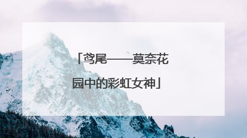 鸢尾——莫奈花园中的彩虹女神