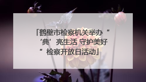 鹤壁市检察机关举办“‘典’亮生活 守护美好”检察开放日活动