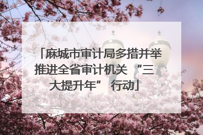 麻城市审计局多措并举推进全省审计机关 “三大提升年” 行动