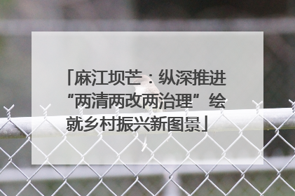 麻江坝芒：纵深推进“两清两改两治理”绘就乡村振兴新图景