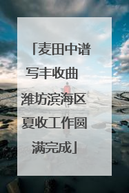 麦田中谱写丰收曲 潍坊滨海区夏收工作圆满完成