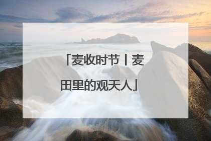 麦收时节丨麦田里的观天人
