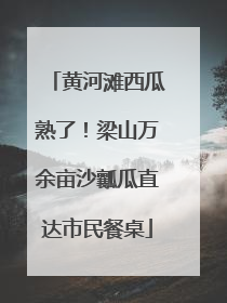 黄河滩西瓜熟了！梁山万余亩沙瓤瓜直达市民餐桌