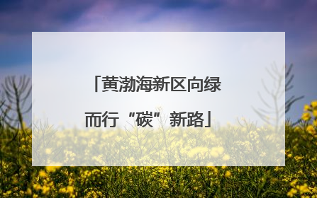 黄渤海新区向绿而行“碳”新路