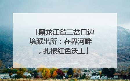 黑龙江省三岔口边境派出所：在界河畔，扎根红色沃土