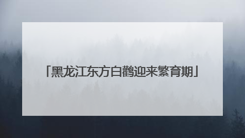 黑龙江东方白鹳迎来繁育期