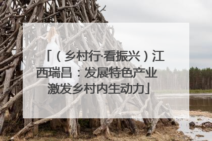 （乡村行·看振兴）江西瑞昌：发展特色产业 激发乡村内生动力