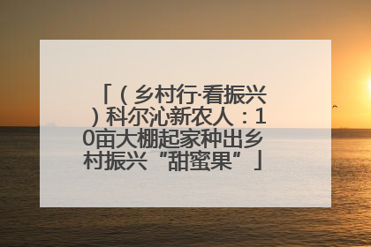 （乡村行·看振兴）科尔沁新农人：10亩大棚起家种出乡村振兴“甜蜜果”