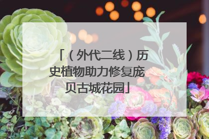 （外代二线）历史植物助力修复庞贝古城花园
