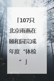 107只北京雨燕在颐和园完成年度“体检”