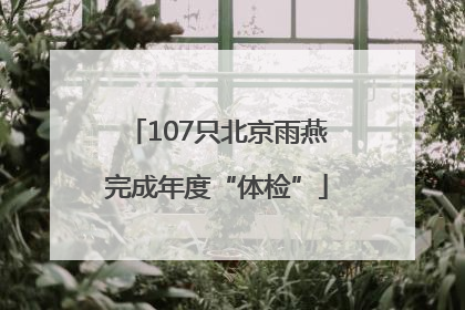 107只北京雨燕完成年度“体检”