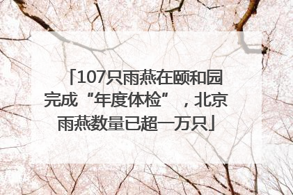 107只雨燕在颐和园完成“年度体检”，北京雨燕数量已超一万只