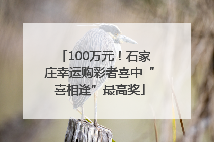100万元！石家庄幸运购彩者喜中“喜相逢”最高奖