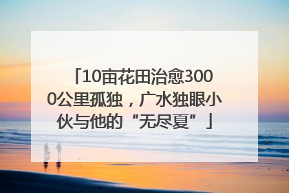 10亩花田治愈3000公里孤独，广水独眼小伙与他的“无尽夏”