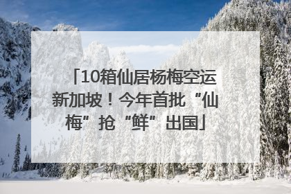 10箱仙居杨梅空运新加坡！今年首批“仙梅”抢“鲜”出国