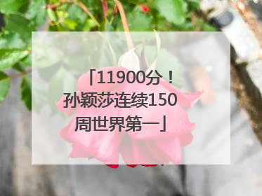 11900分！孙颖莎连续150周世界第一