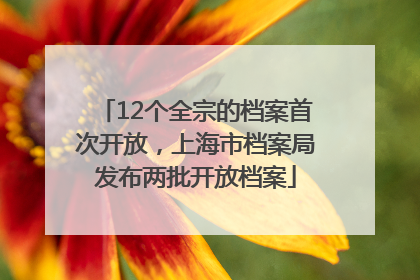 12个全宗的档案首次开放，上海市档案局发布两批开放档案