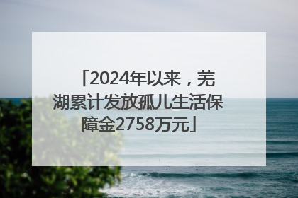 2024年以来，芜湖累计发放孤儿生活保障金2758万元