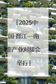 2025中国·晋江—南非产业对接会举行