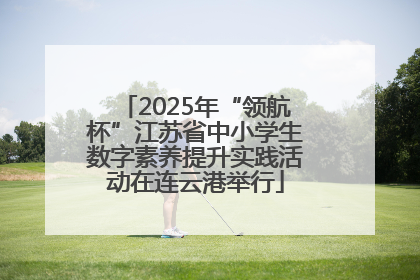 2025年“领航杯”江苏省中小学生数字素养提升实践活动在连云港举行