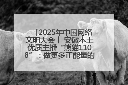 2025年中国网络文明大会丨 安徽本土优质主播“熊猫1108”：做更多正能量的事情 带给大家快乐