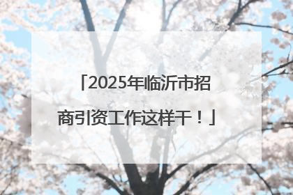 2025年临沂市招商引资工作这样干！