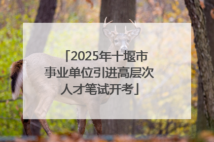2025年十堰市事业单位引进高层次人才笔试开考