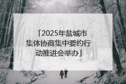 2025年盐城市集体协商集中要约行动推进会举办