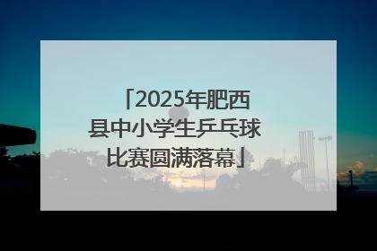2025年肥西县中小学生乒乓球比赛圆满落幕