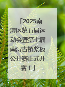 2025南浔区第五届运动会暨第七届南浔古镇桨板公开赛正式开赛！
