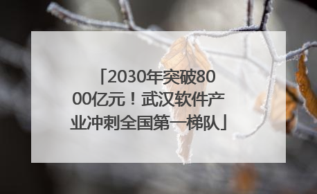 2030年突破8000亿元！武汉软件产业冲刺全国第一梯队