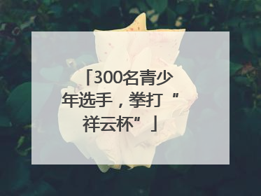 300名青少年选手，拳打“祥云杯”
