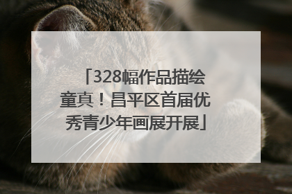 328幅作品描绘童真！昌平区首届优秀青少年画展开展