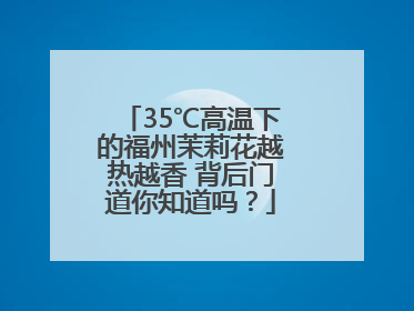 35℃高温下的福州茉莉花越热越香 背后门道你知道吗？