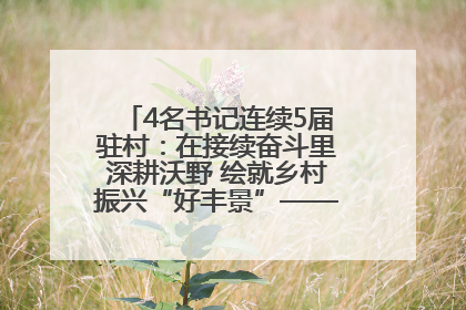 4名书记连续5届驻村：在接续奋斗里深耕沃野 绘就乡村振兴“好丰景”——浦发银行南京分行助力脱贫攻坚、帮促乡村振兴记事（二）