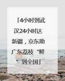 4小时到武汉24小时达新疆，京东助广东荔枝“鲜”到全国