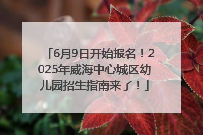 6月9日开始报名！2025年威海中心城区幼儿园招生指南来了！