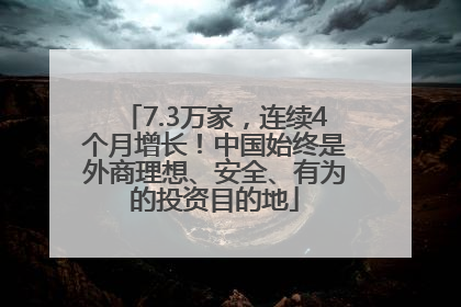 7.3万家，连续4个月增长！中国始终是外商理想、安全、有为的投资目的地