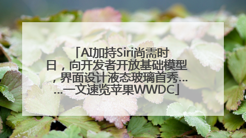 AI加持Siri尚需时日，向开发者开放基础模型，界面设计液态玻璃首秀……一文速览苹果WWDC