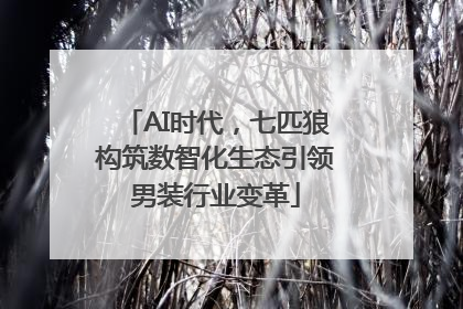 AI时代，七匹狼构筑数智化生态引领男装行业变革