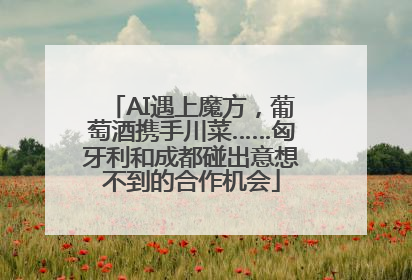 AI遇上魔方，葡萄酒携手川菜……匈牙利和成都碰出意想不到的合作机会